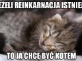 Reinkarnacja