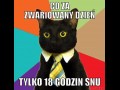 Szaleństwo