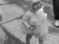 Lady