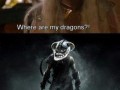 Skyrim