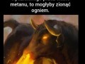 Ciekawostka na dziś