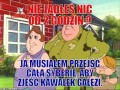 Tata ludwiczka