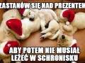 Zastanów się