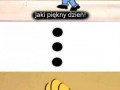 Piękny dzień