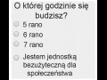 Ankieta
