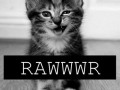 Rawrrr