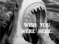 Wish you were here
