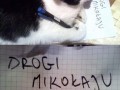 Drogi mikołaju