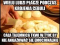 Cebula