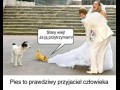 Uciekaj