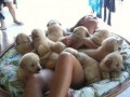 Cuteness overload