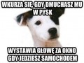 Psia logika