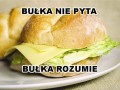 Najlepsza na świecie