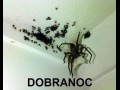 Dobranoc
