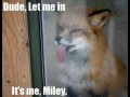 Miley
