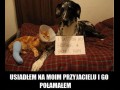 Biedny koteł