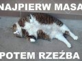 Siłka