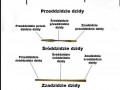 Dzida
