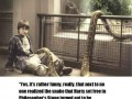 Potter
