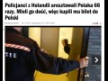 Polak potrafi