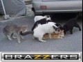 Brazzers
