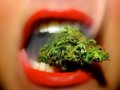 Weed