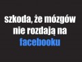 Szkoda