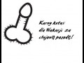 Karny kutas