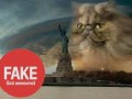 Fake