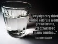 Słoń