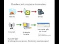 Piractwo