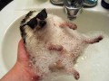 Deal with it 2