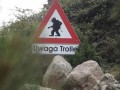 Troll