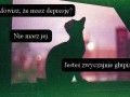 True 3