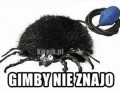 O tak 1