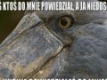 Moja mina