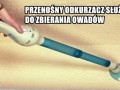 Chcę to