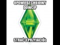 Dowcip