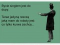 Bez sensu