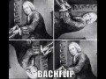 Bachflip