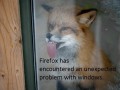 Firefox