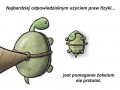 Odpowiedzialność