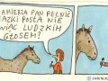 Koń