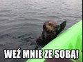 Weź mnie