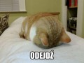 Odejdź