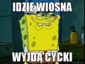 Idzie wiosna