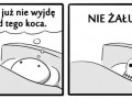 Kocyk