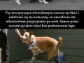 Psy