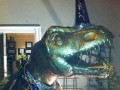Dinozaur