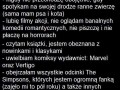 Dziewczyna